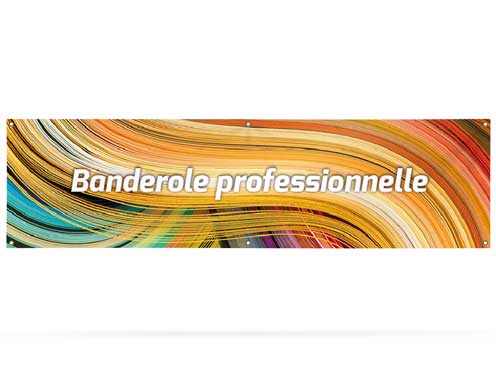 Baner Pro